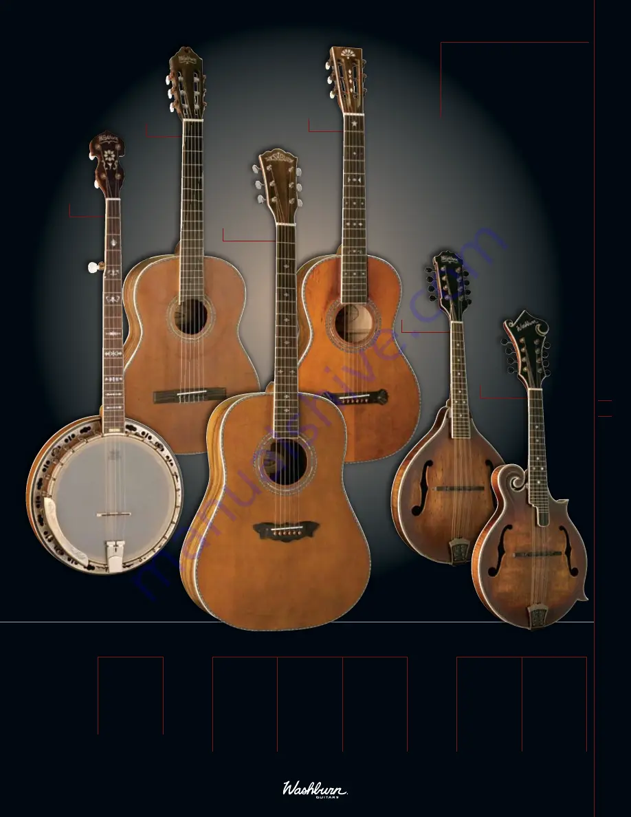 Washburn D10Q Catalog Download Page 3