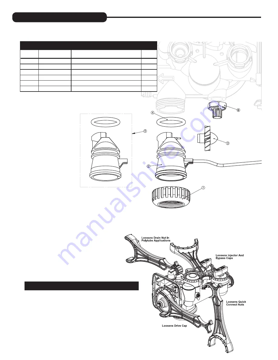 Water Care Ion Pro Series Installation Instructions & Owner'S Manual Download Page 24