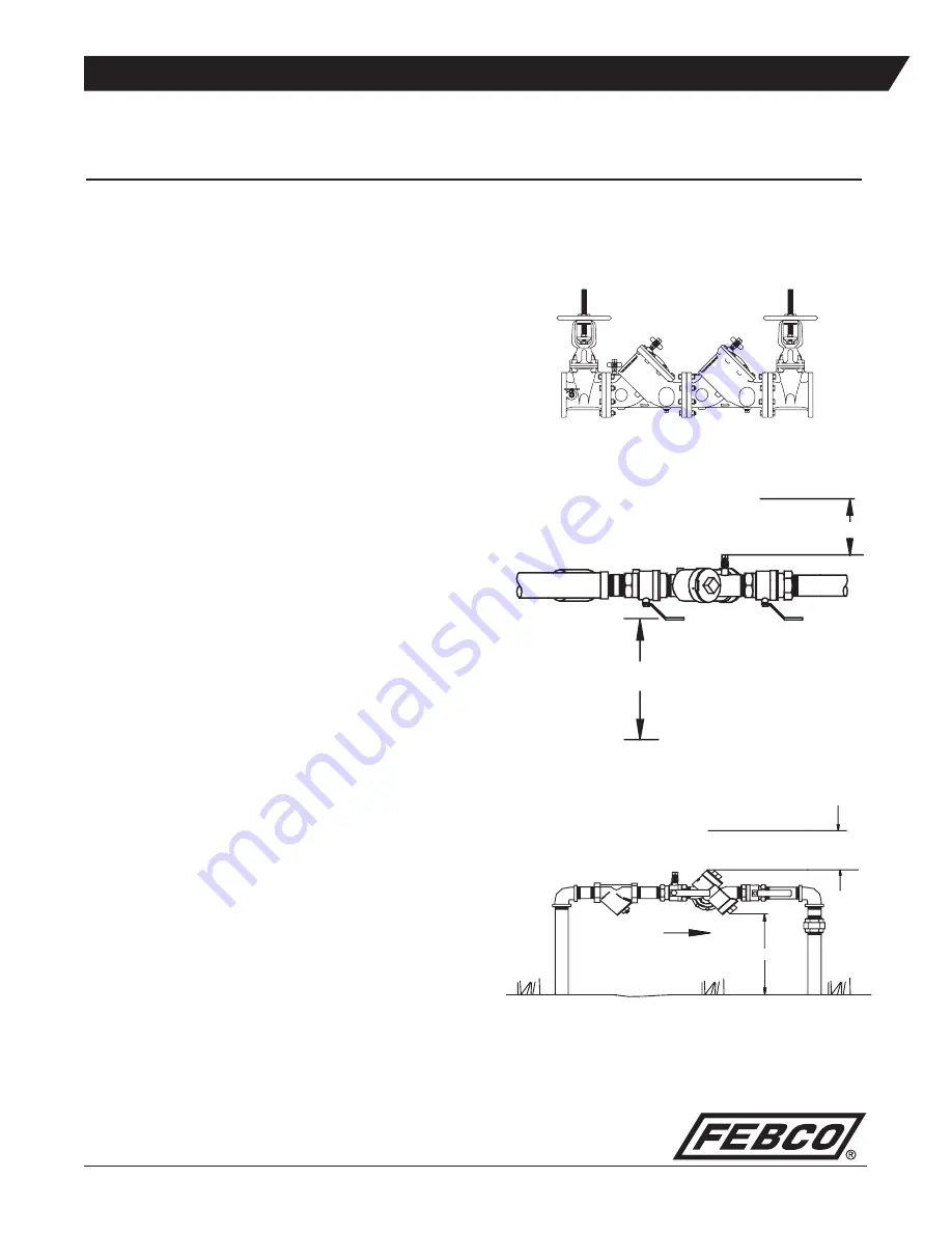 Watts Industries FEBCO 805Y Series Скачать руководство пользователя страница 1