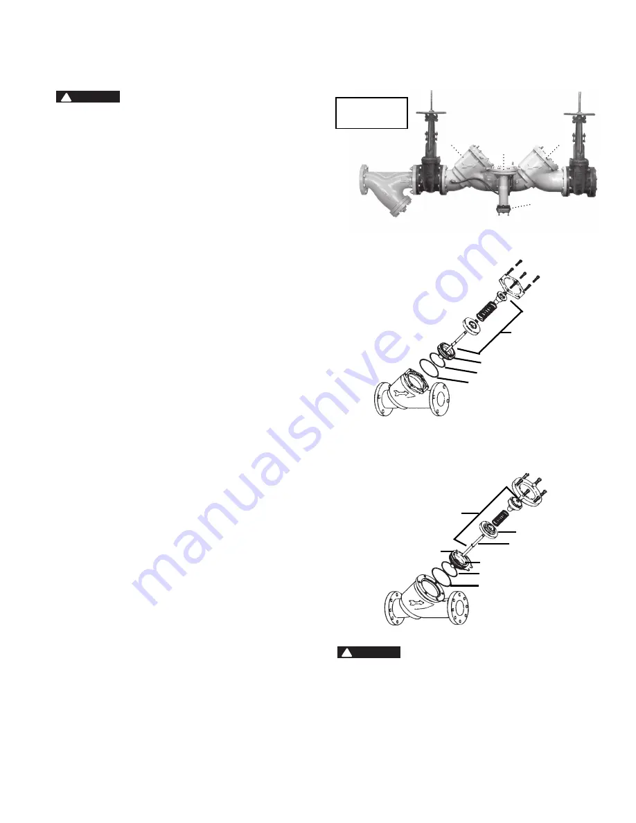 Watts 909 Series Instruction, Installation, Maintenance And Repair Manual Download Page 5