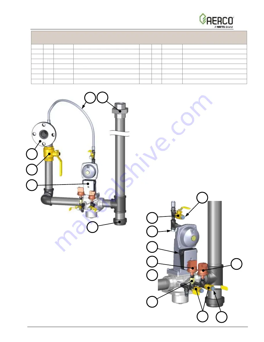 Watts Aerco Benchmark 5000 Reference Manual Download Page 20