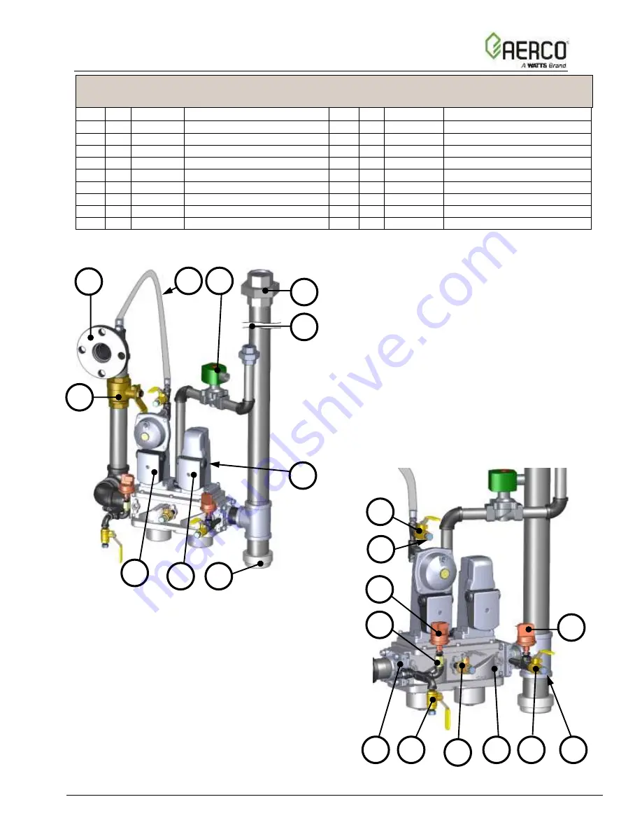 Watts Aerco Benchmark 5000 Reference Manual Download Page 21