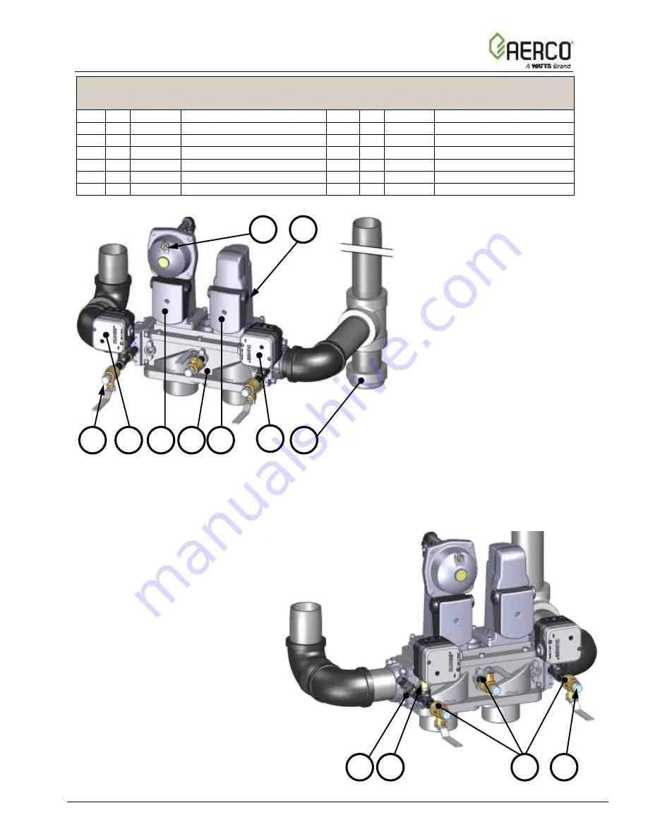 Watts Aerco Benchmark 5000 Reference Manual Download Page 37