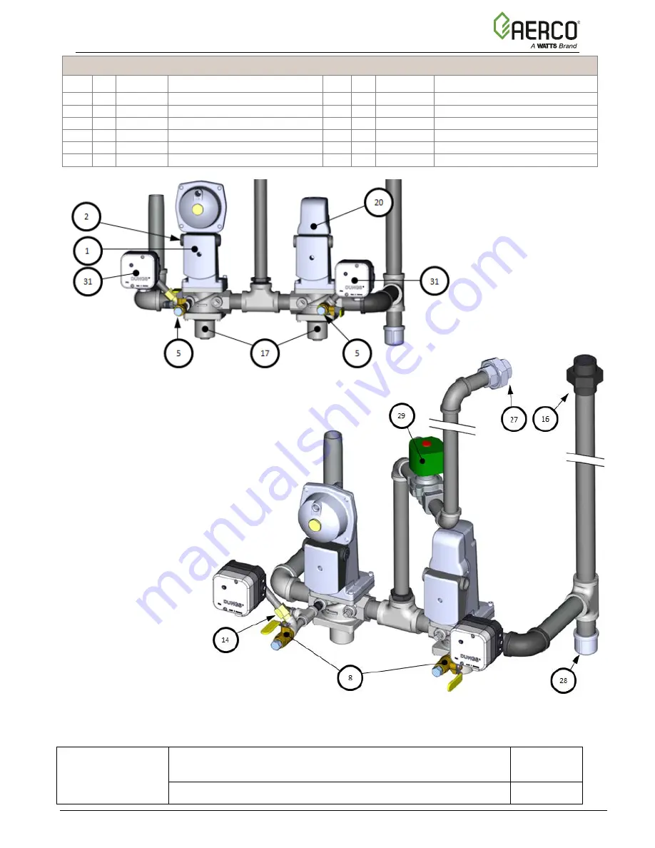 Watts AERCO Benchmark OMM-0121 Operation And Maintenance Manual Download Page 121