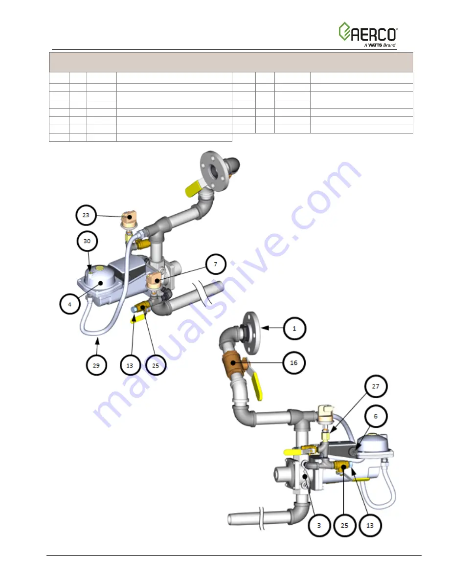 Watts Aerco Benchmark Platinum Series Reference Manual Download Page 10