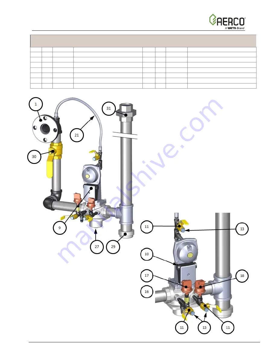 Watts Aerco Benchmark Platinum Series Reference Manual Download Page 20