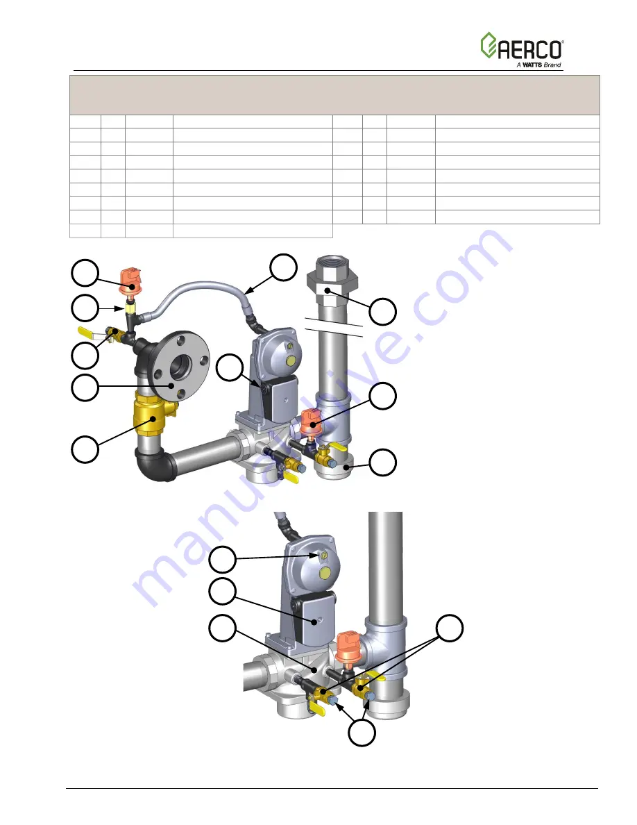 Watts Aerco Benchmark Platinum Series Reference Manual Download Page 34