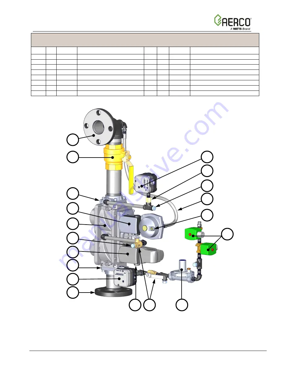 Watts Aerco Benchmark Platinum Series Reference Manual Download Page 51