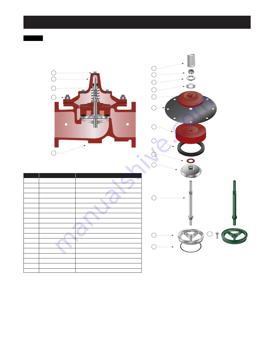 Watts Ames 910GD-17 Скачать руководство пользователя страница 11