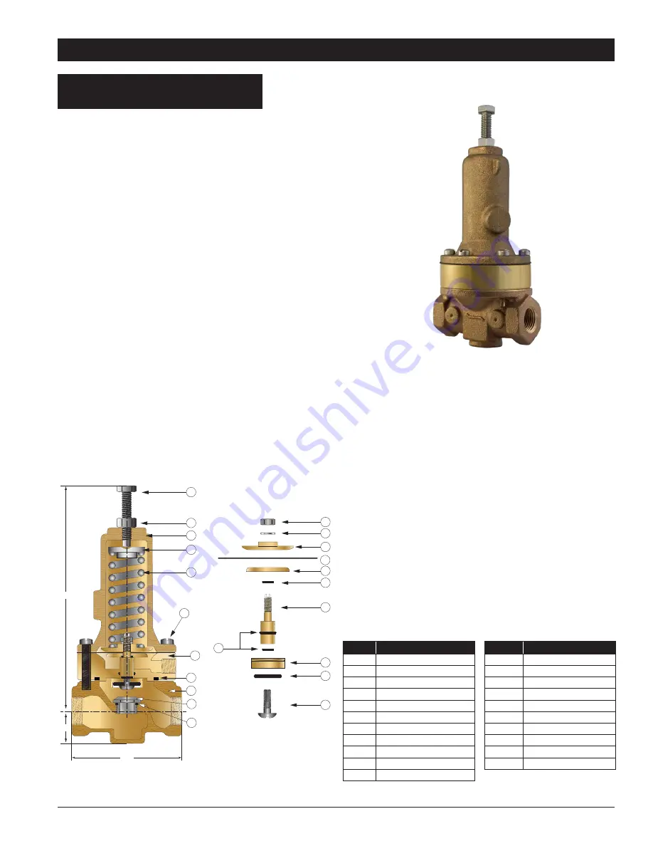 Watts AMES LF985GD-20 Series Скачать руководство пользователя страница 10