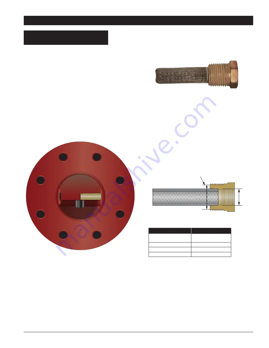 Watts AMES LF985GD-20 Series Manual Download Page 13