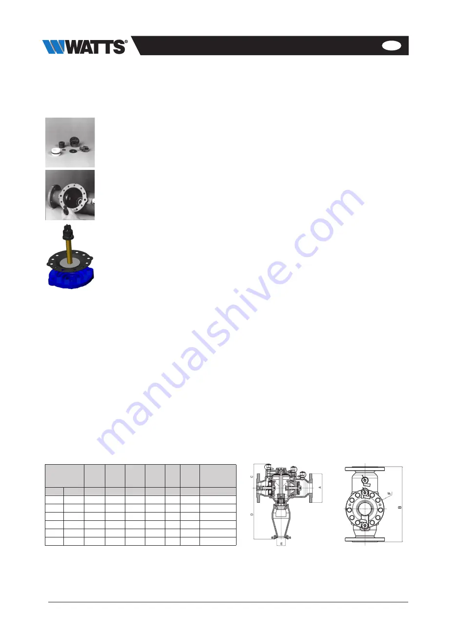 Watts BA 009MC Installation And Operation Manual Download Page 21