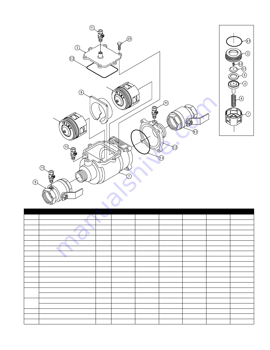 Watts FEBCO 850 Small Series Скачать руководство пользователя страница 23