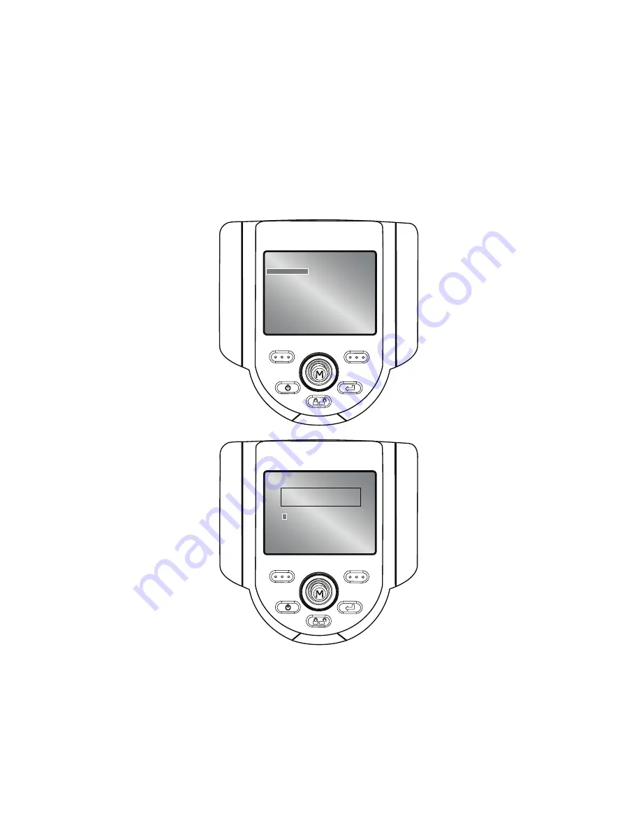 Waygate Technologies Everest XL Detect Plus VideoProbe Operating Manual Download Page 43