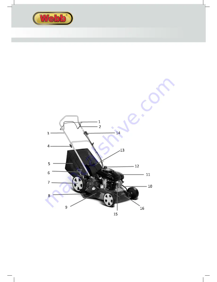 Webb 1938175001 Скачать руководство пользователя страница 8