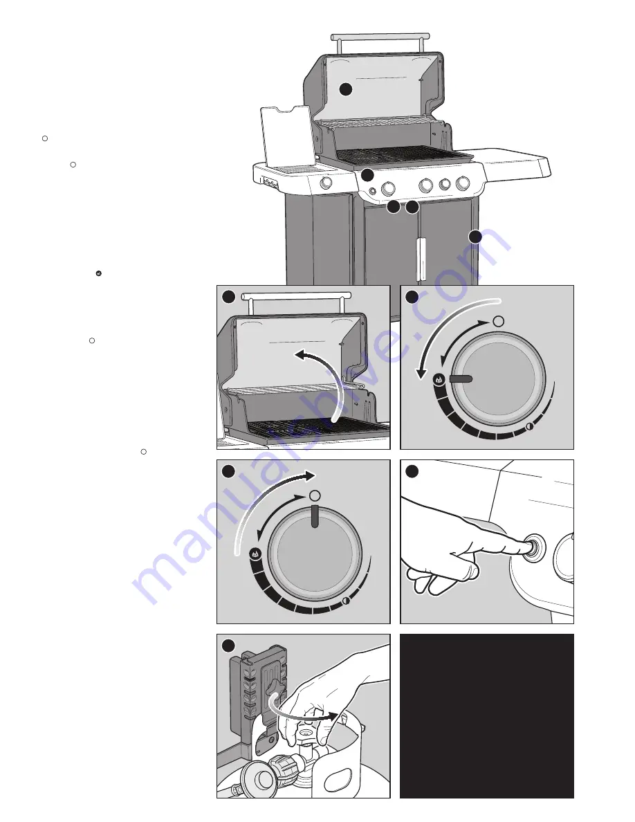 Weber 35400001 Скачать руководство пользователя страница 11