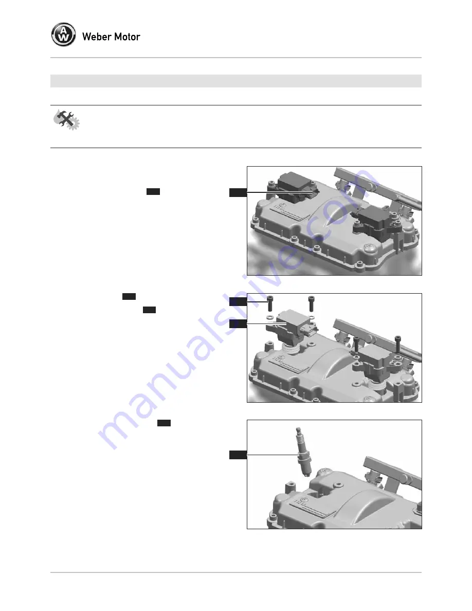 Weber 4-Stroke Engine MPE 850 IND NA Скачать руководство пользователя страница 41