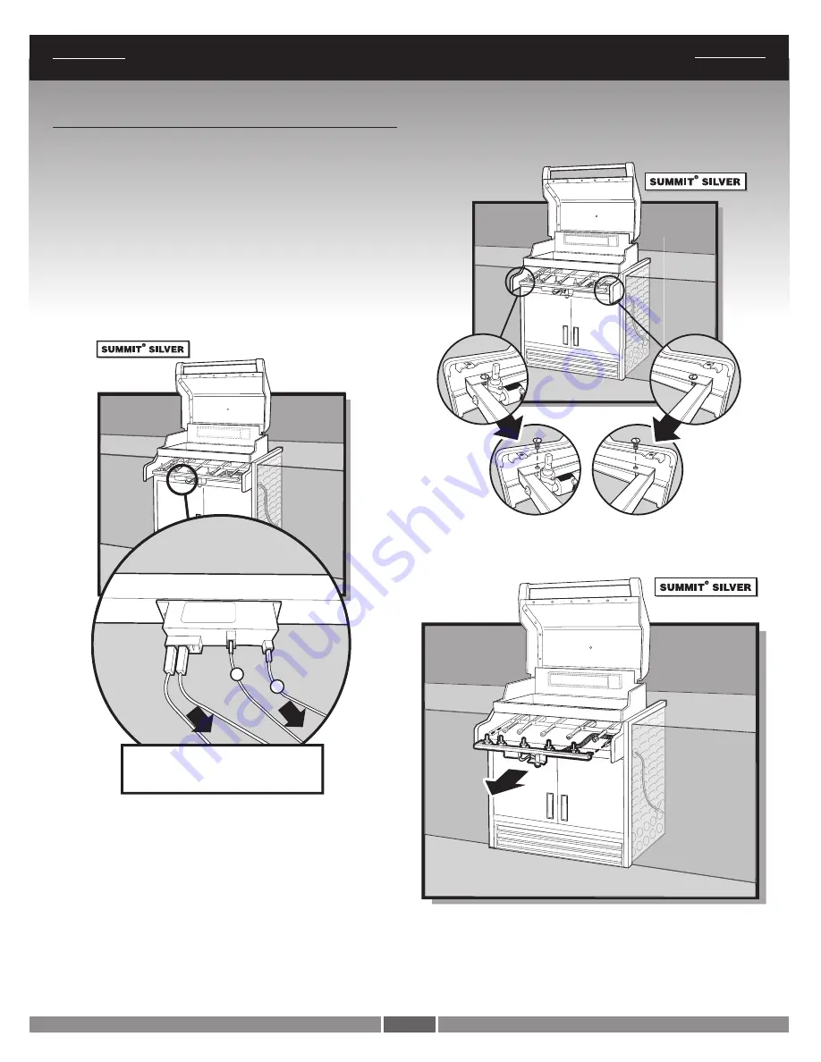 Weber 42371 Скачать руководство пользователя страница 17