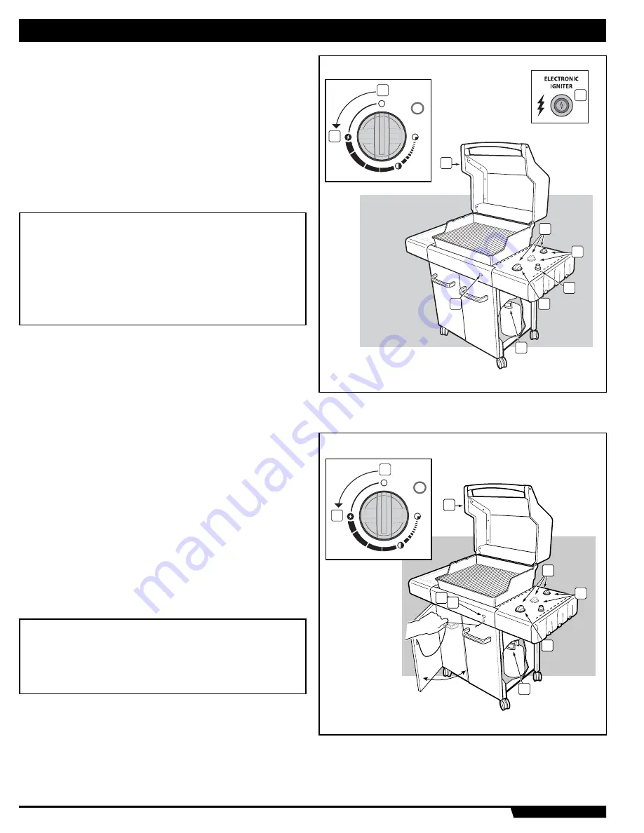 Weber E/EP - 210/310 Owner'S Manual Download Page 40