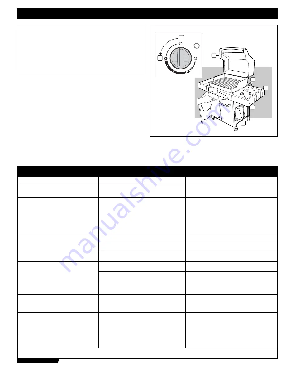 Weber E/EP - 210/310 Owner'S Manual Download Page 41