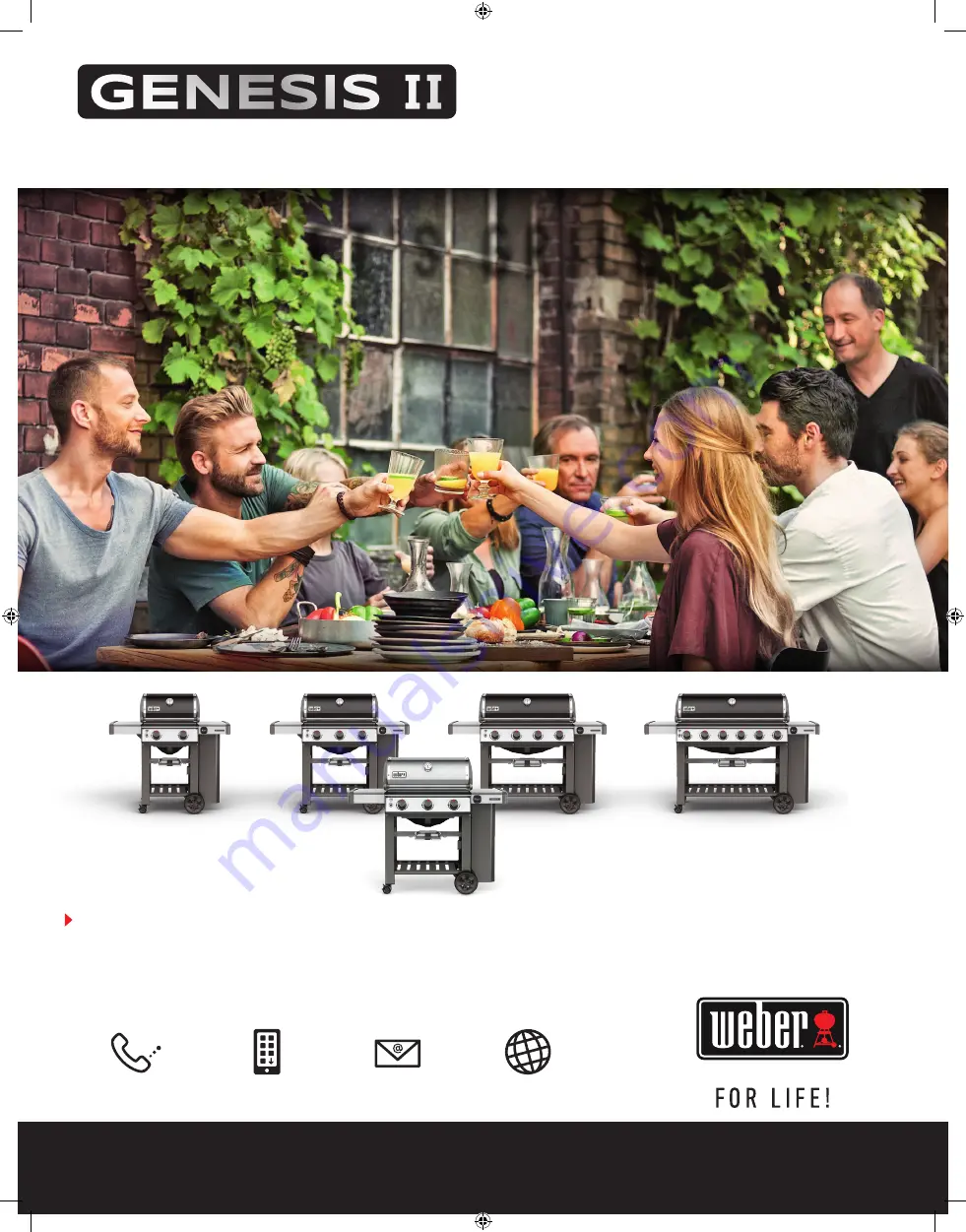 Weber GENESIS II E-210 Скачать руководство пользователя страница 33