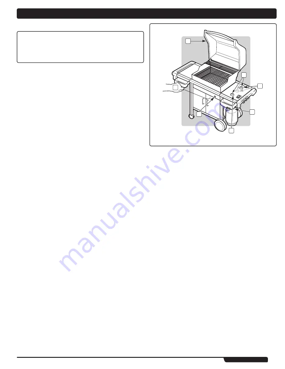 Weber Spirit 210 Owner'S Manual Download Page 15