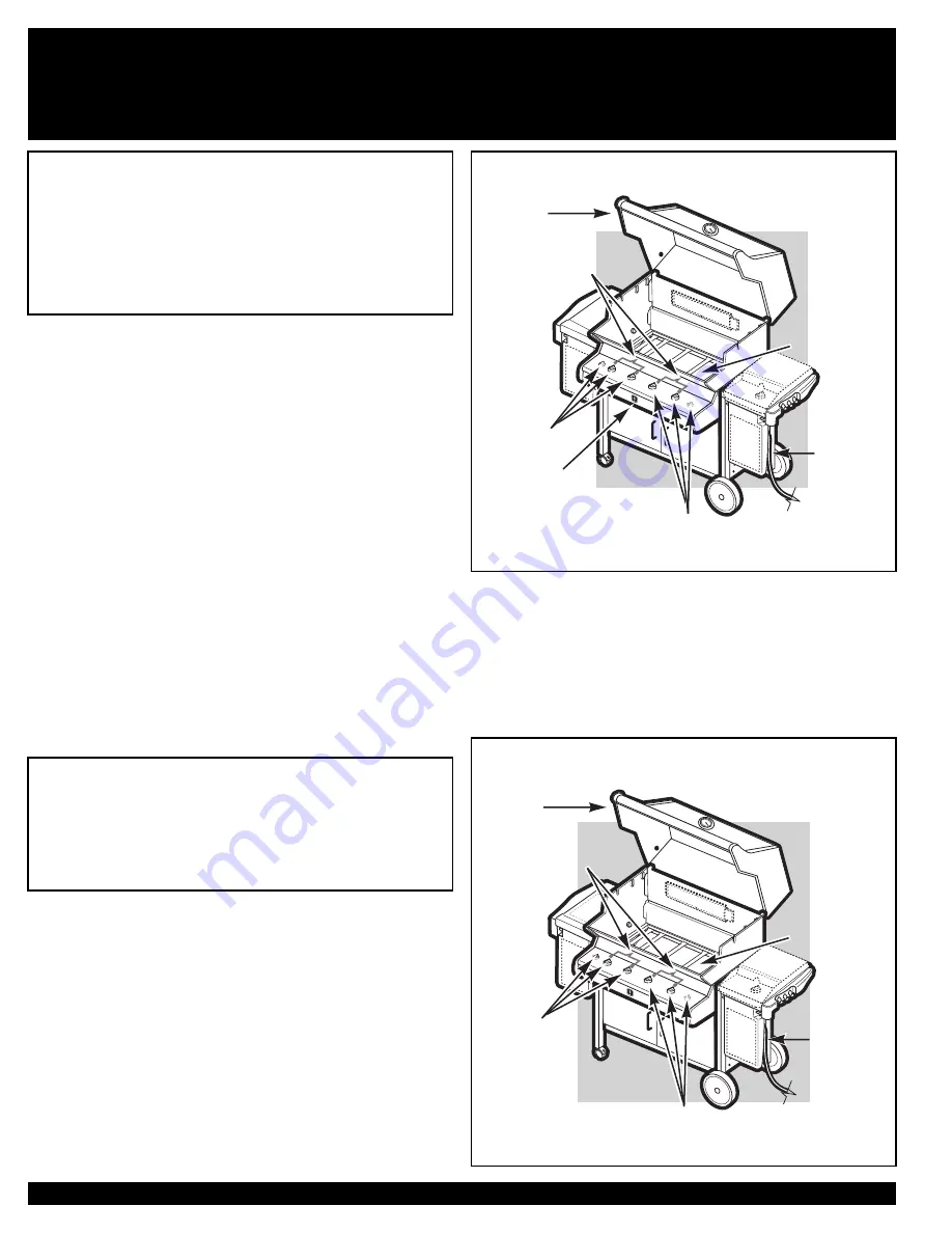 Weber SUMMIT 38008 Owner'S Manual Download Page 16