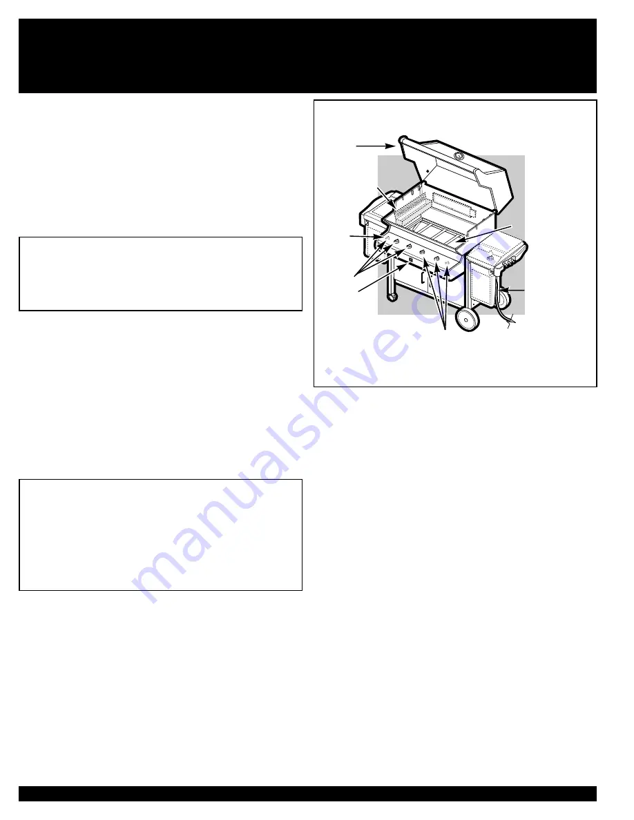 Weber SUMMIT 38008 Owner'S Manual Download Page 20