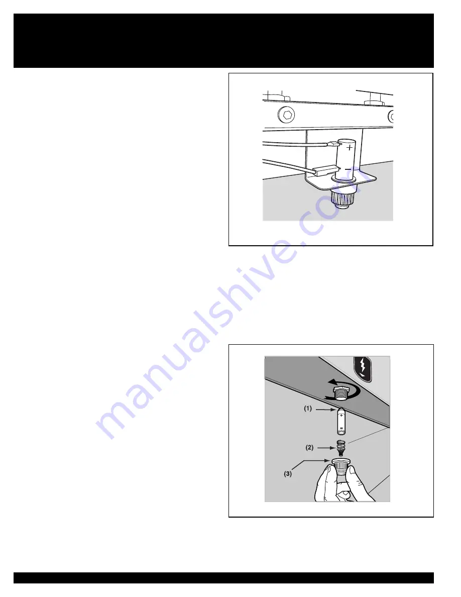 Weber SUMMIT 38008 Owner'S Manual Download Page 36