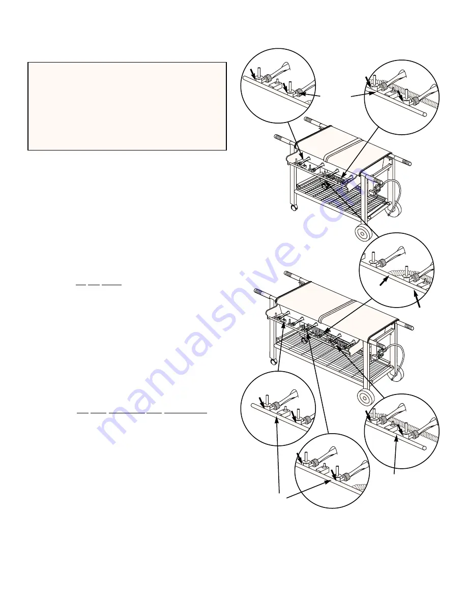 Weber Summit 400 NG Step-By-Step Manual Download Page 10