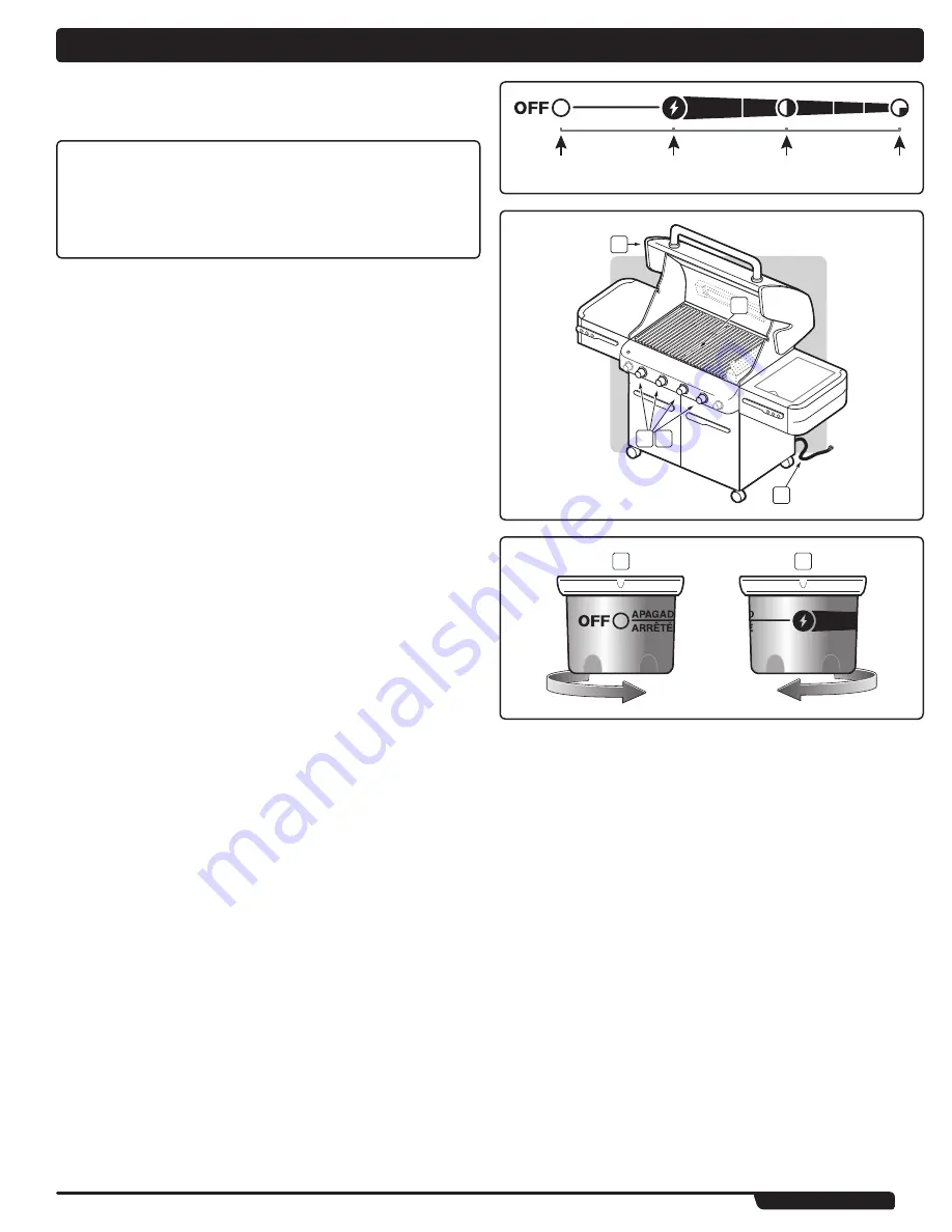 Weber Summit 420 Owner'S Manual Download Page 41