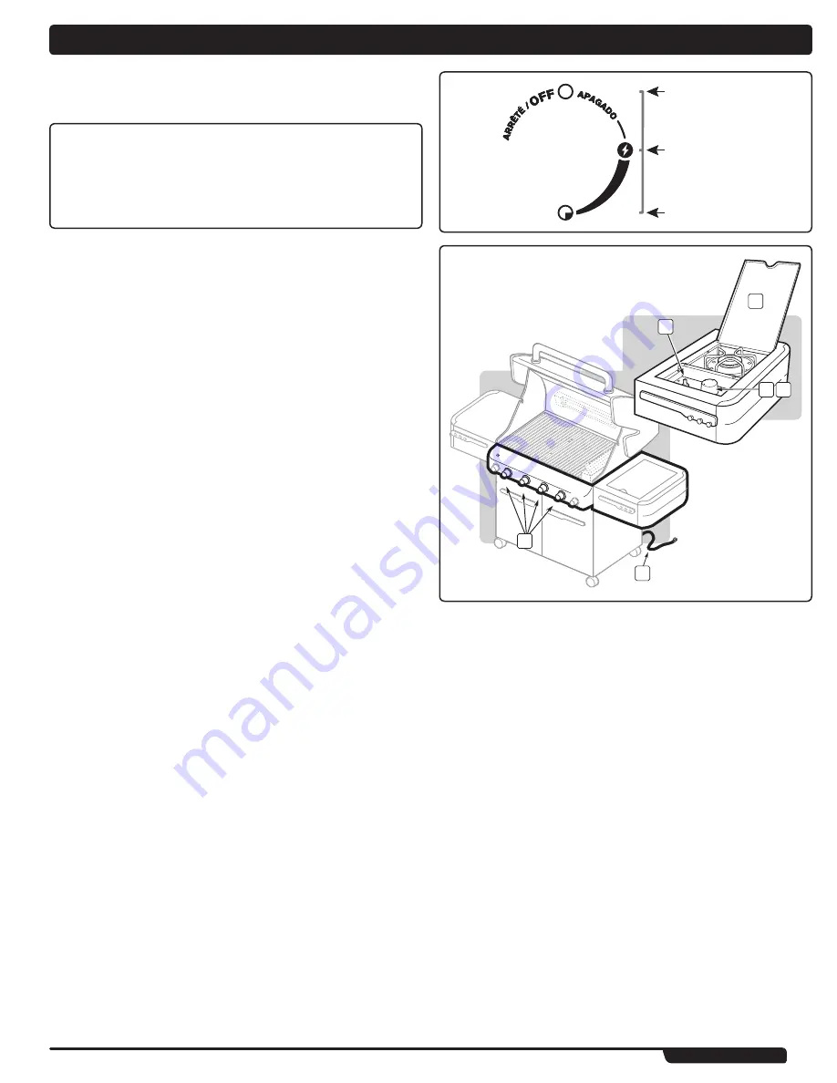 Weber Summit 420 Owner'S Manual Download Page 71