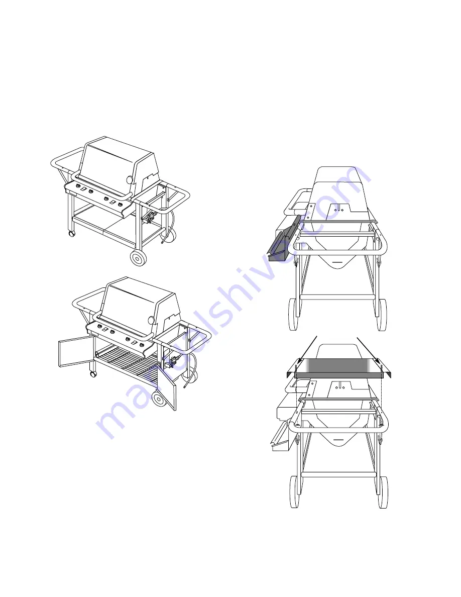 Weber Summit 425 NG Скачать руководство пользователя страница 8