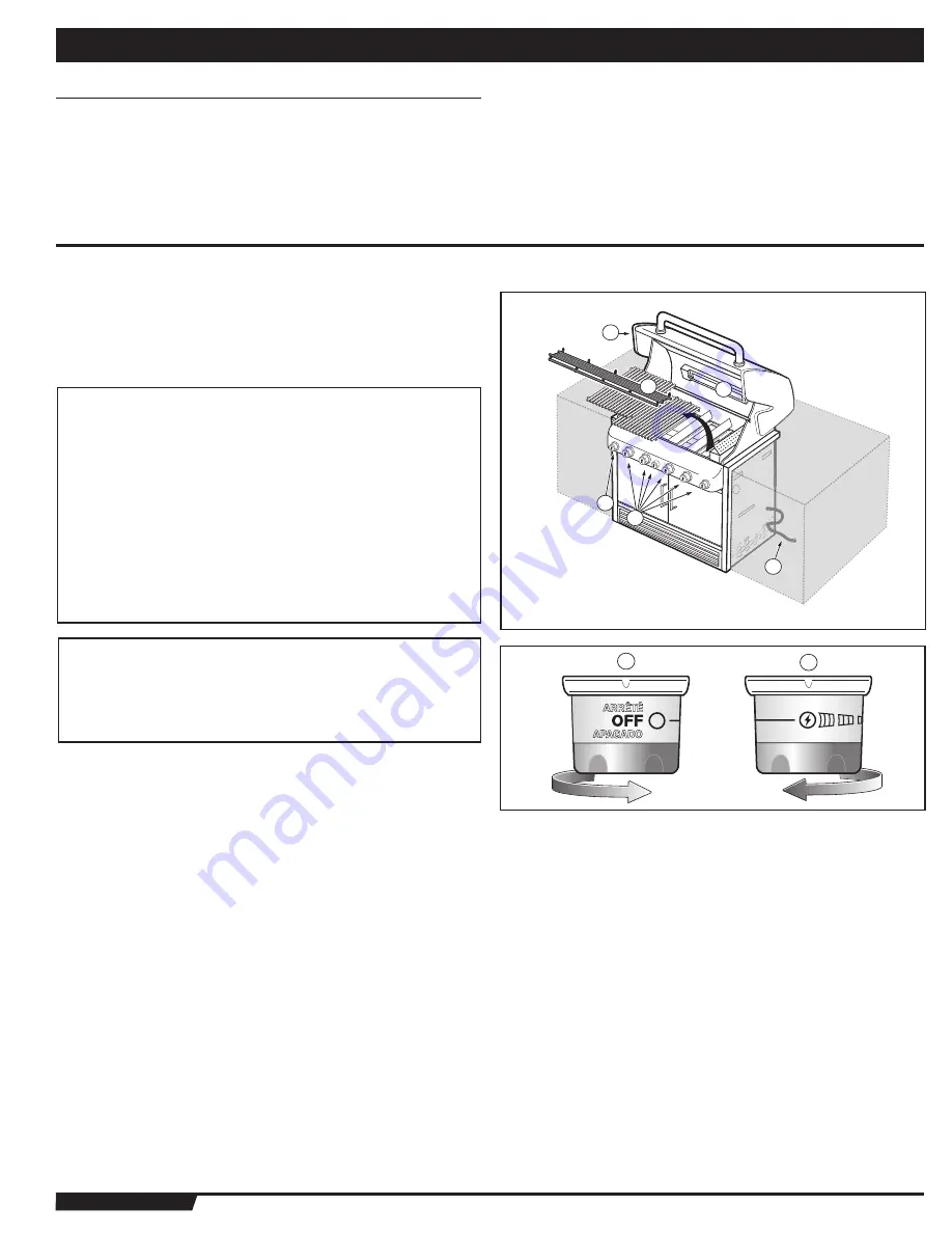 Weber Summit 43258 Скачать руководство пользователя страница 21