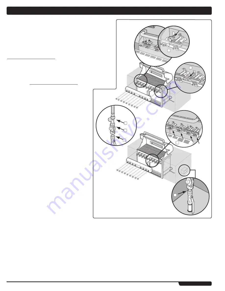 Weber Summit 43264 Owner'S Manual Download Page 10