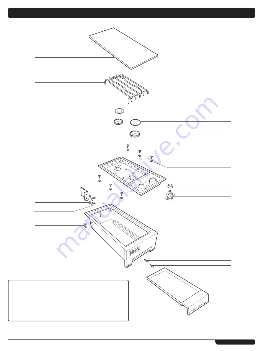 Weber Summit 56069 Скачать руководство пользователя страница 4