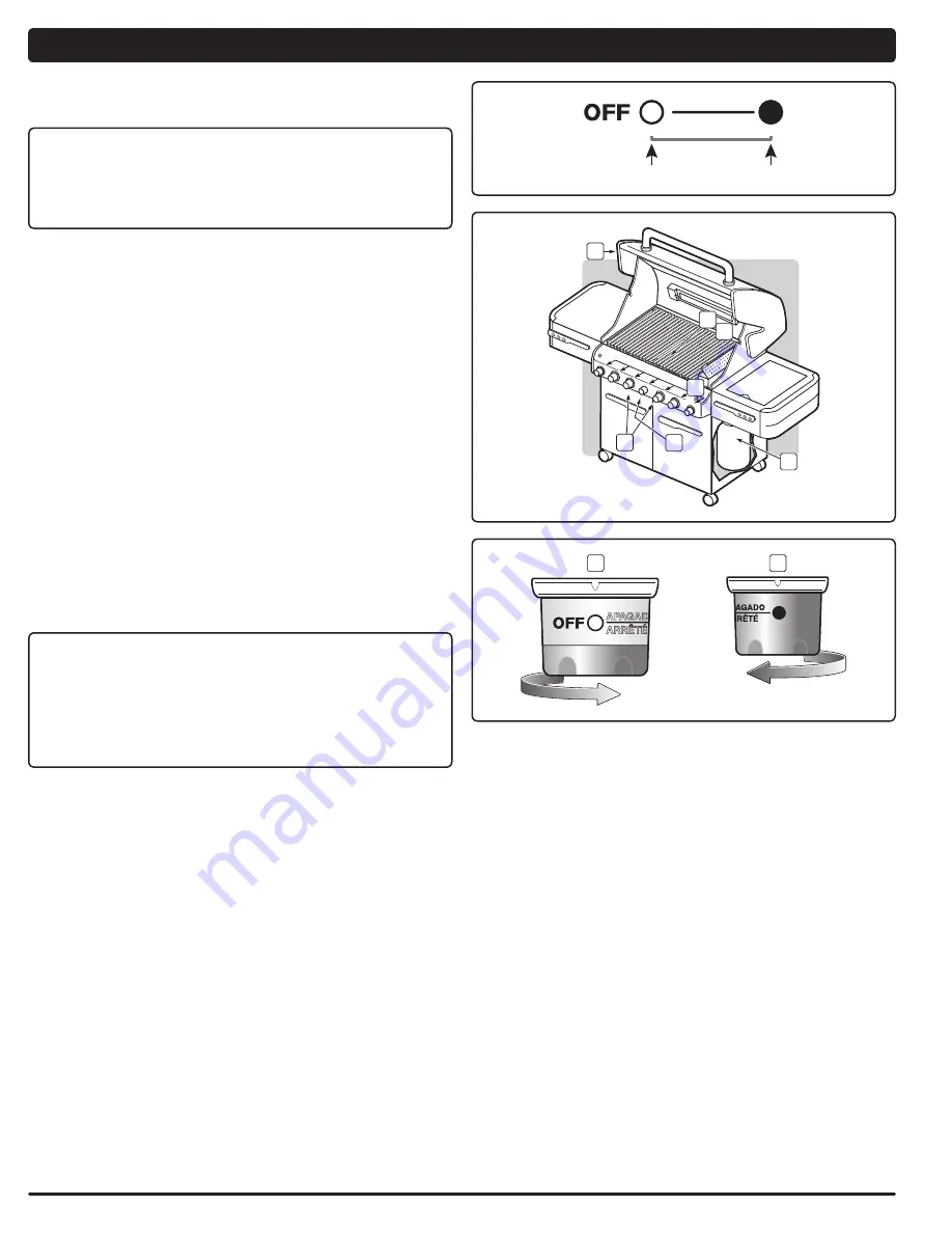 Weber Summit 56211 Скачать руководство пользователя страница 22