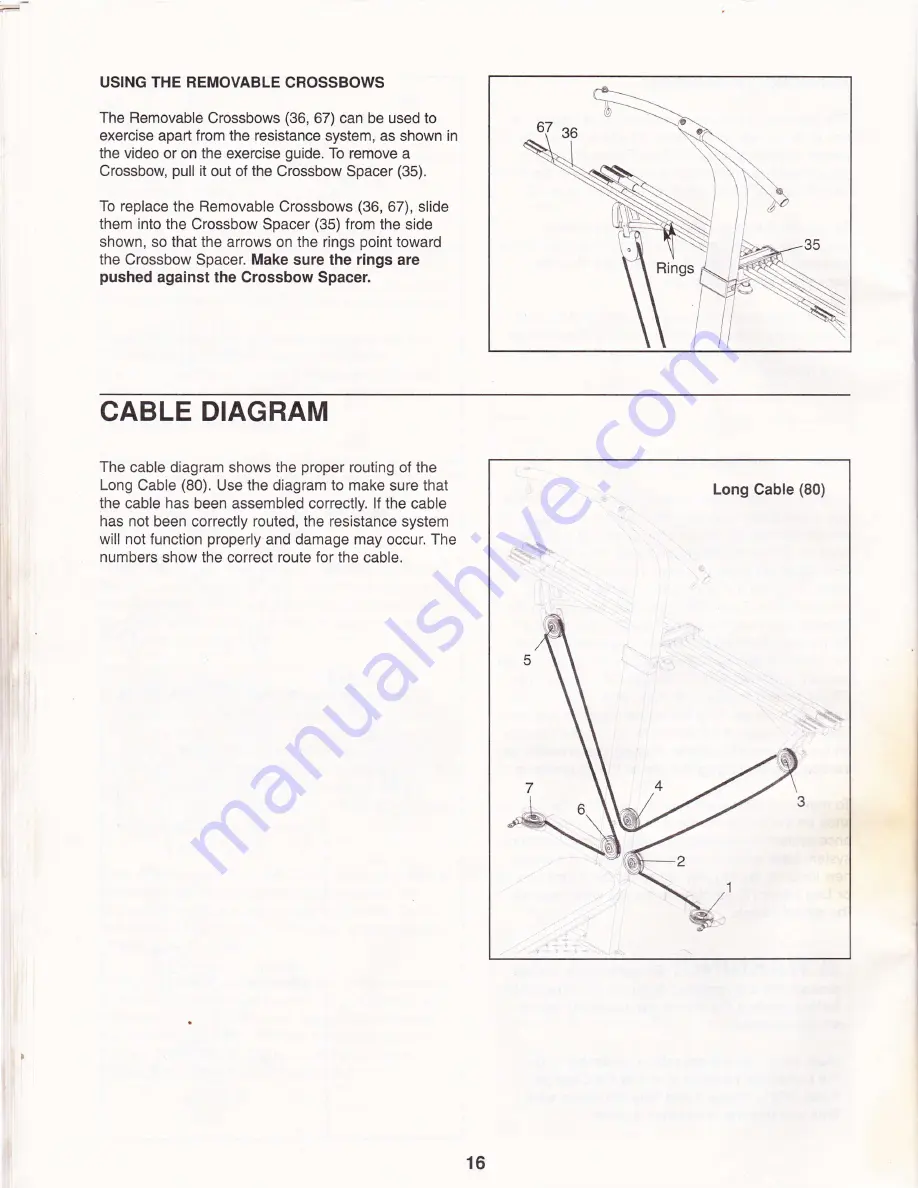 Weider Crossbow 831.153951 User Manual Download Page 20