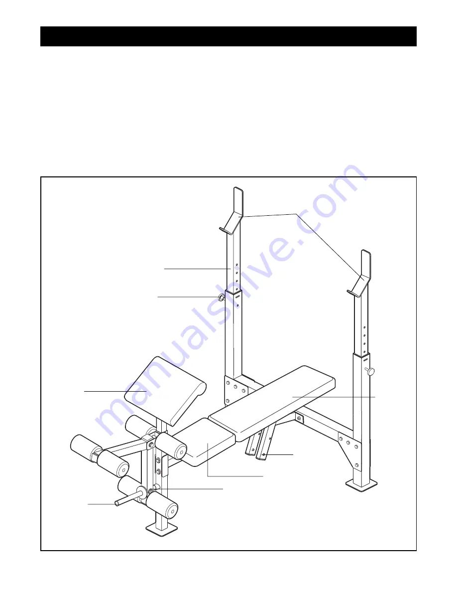 Weider Pro 455 User Manual Download Page 4