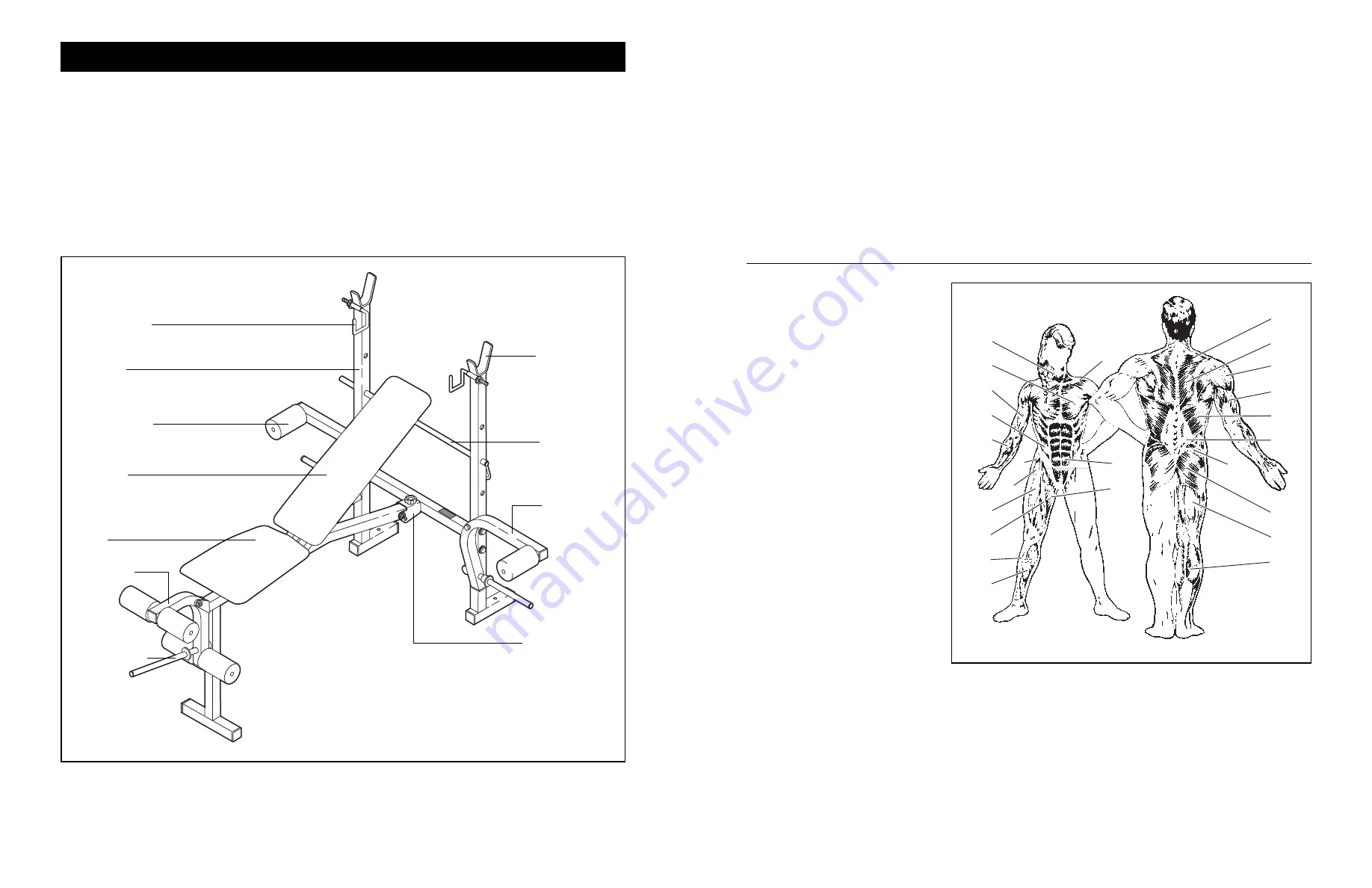 Weider WEEMBE32610 User Manual Download Page 4