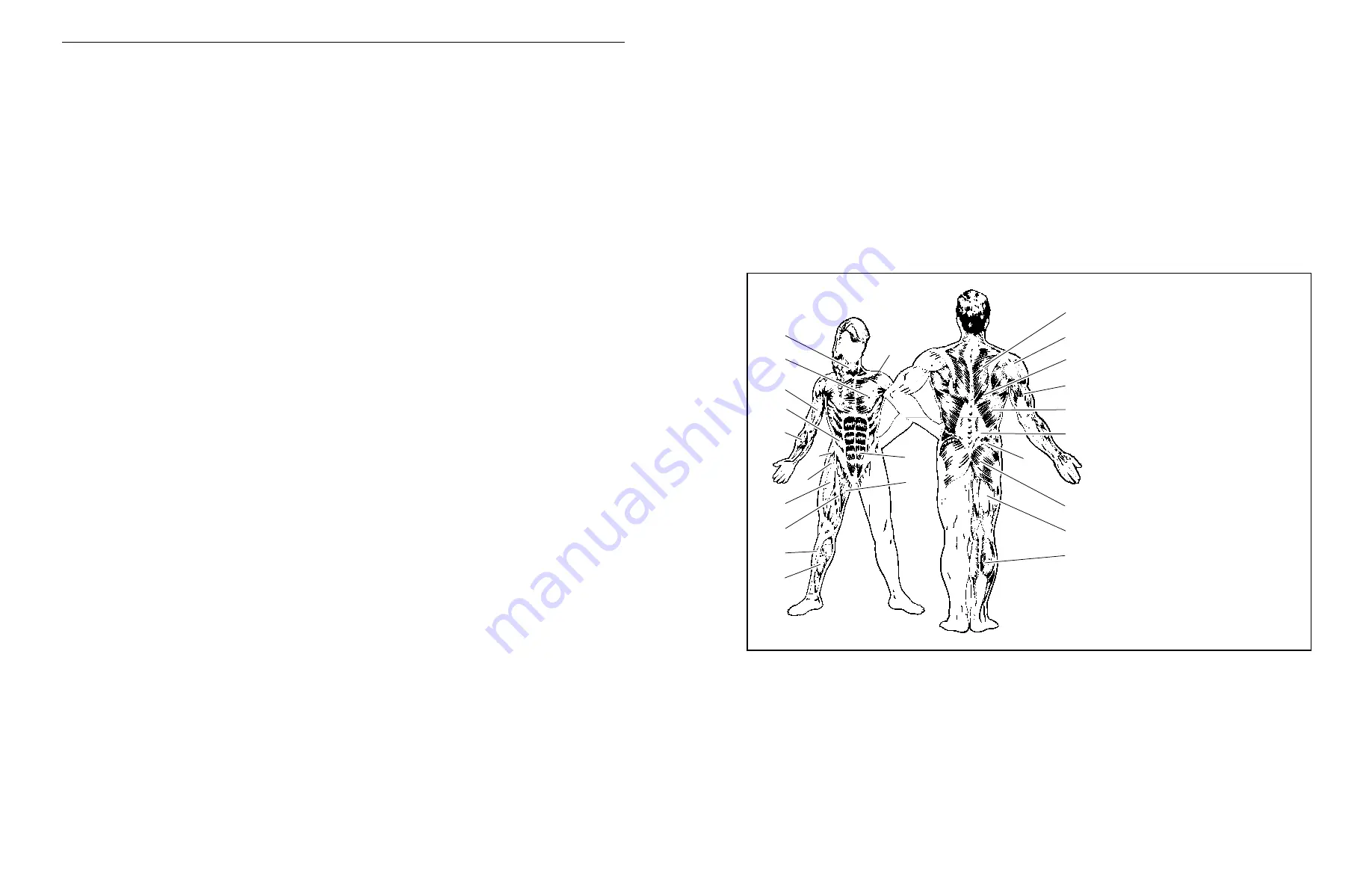 WeiderPro WEEVSY59230 User Manual Download Page 2