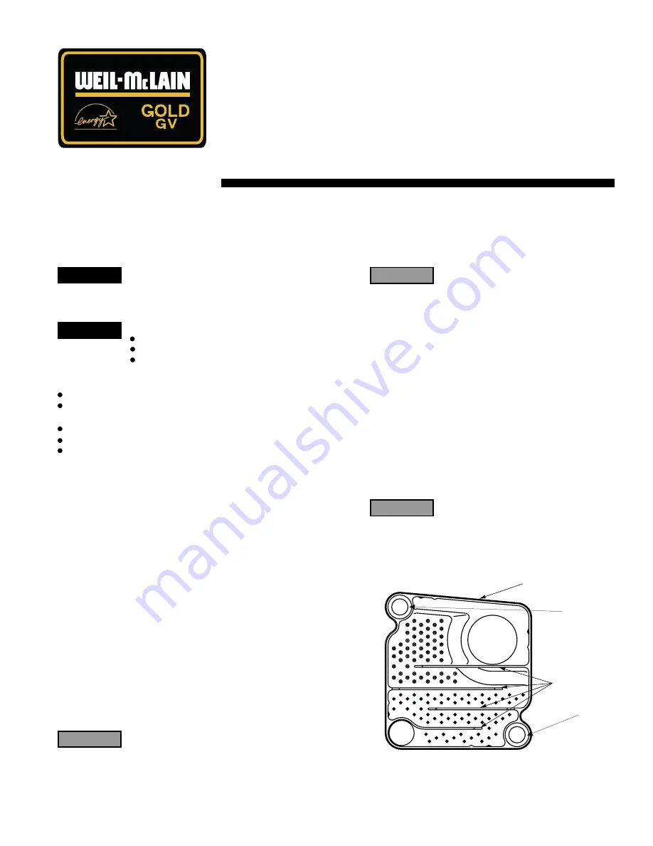 Weil-McLain 382-200-300 Replacement Instructions Download Page 1