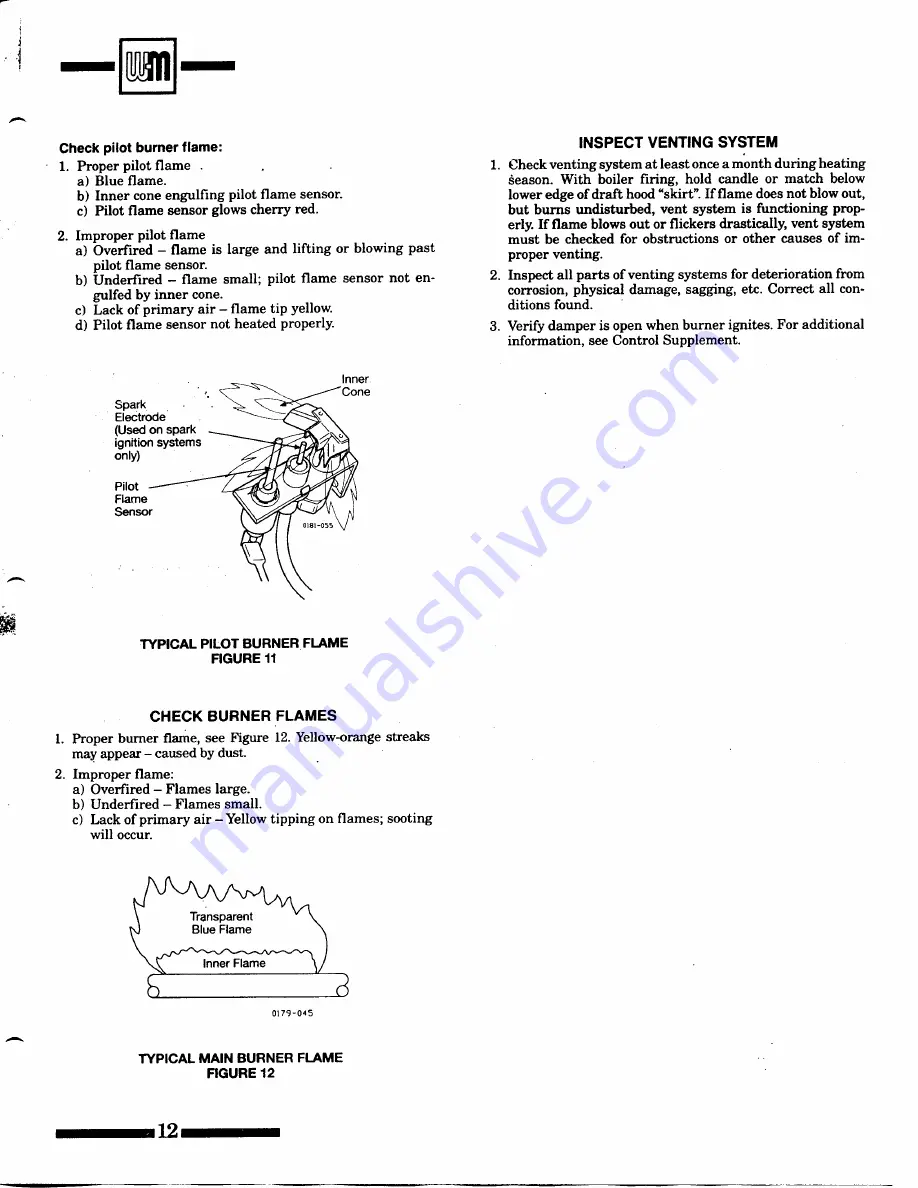 Weil-McLain CG Series 11 Owner'S Manual Download Page 12