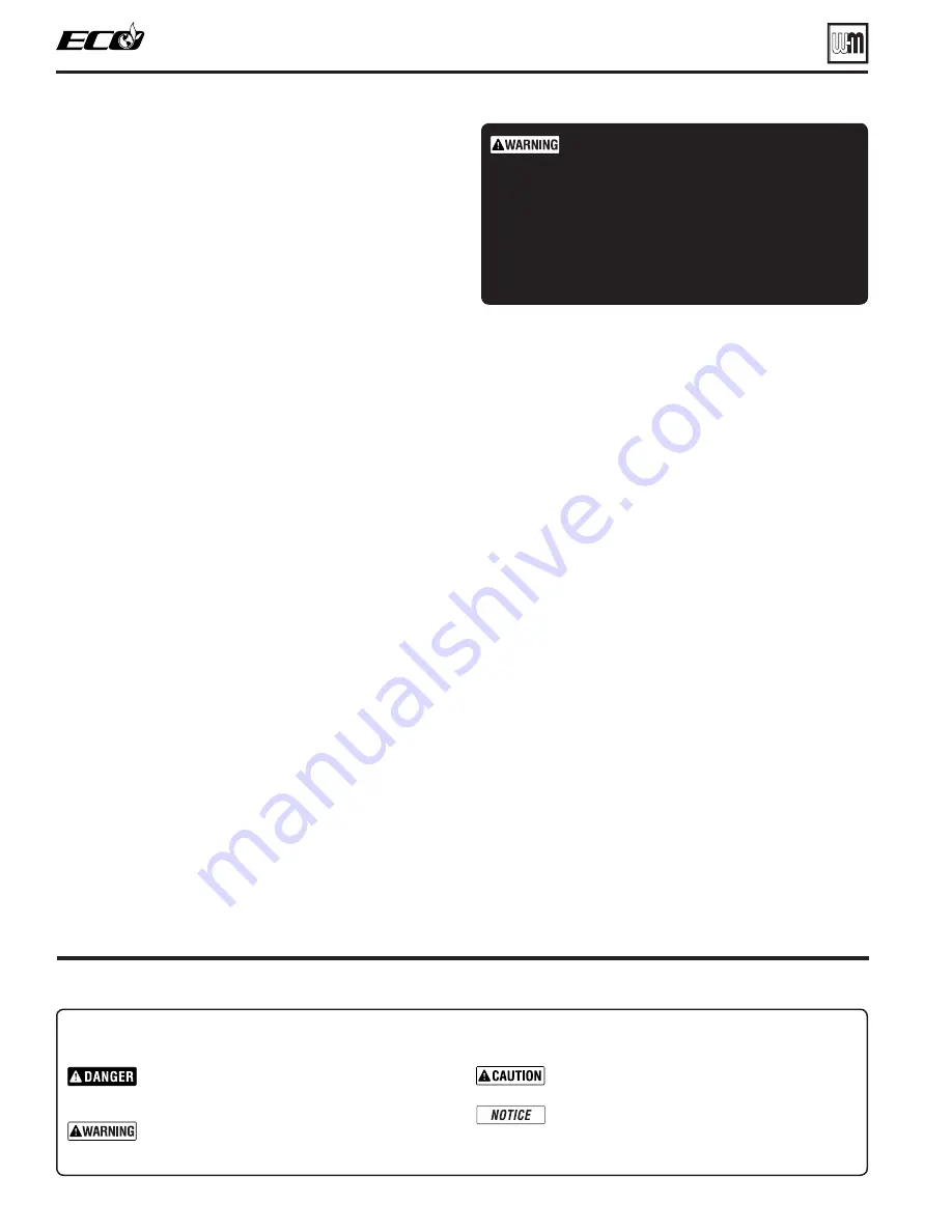 Weil-McLain ECO 110 Manual Download Page 2