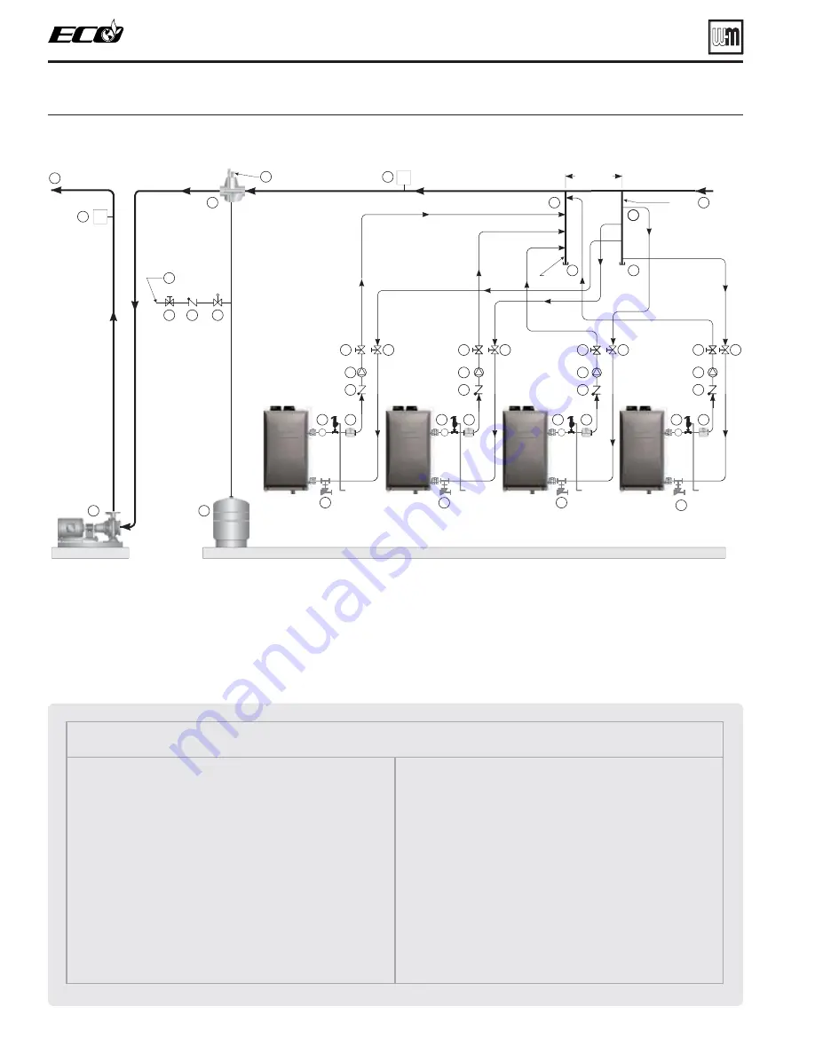 Weil-McLain ECO 110 Manual Download Page 56