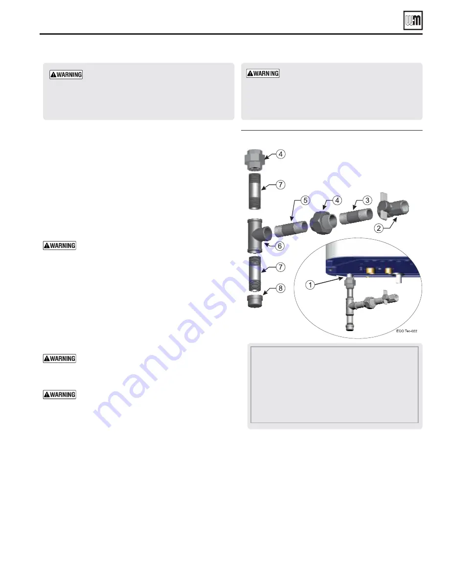 Weil-McLain EcoTec 110 Скачать руководство пользователя страница 57