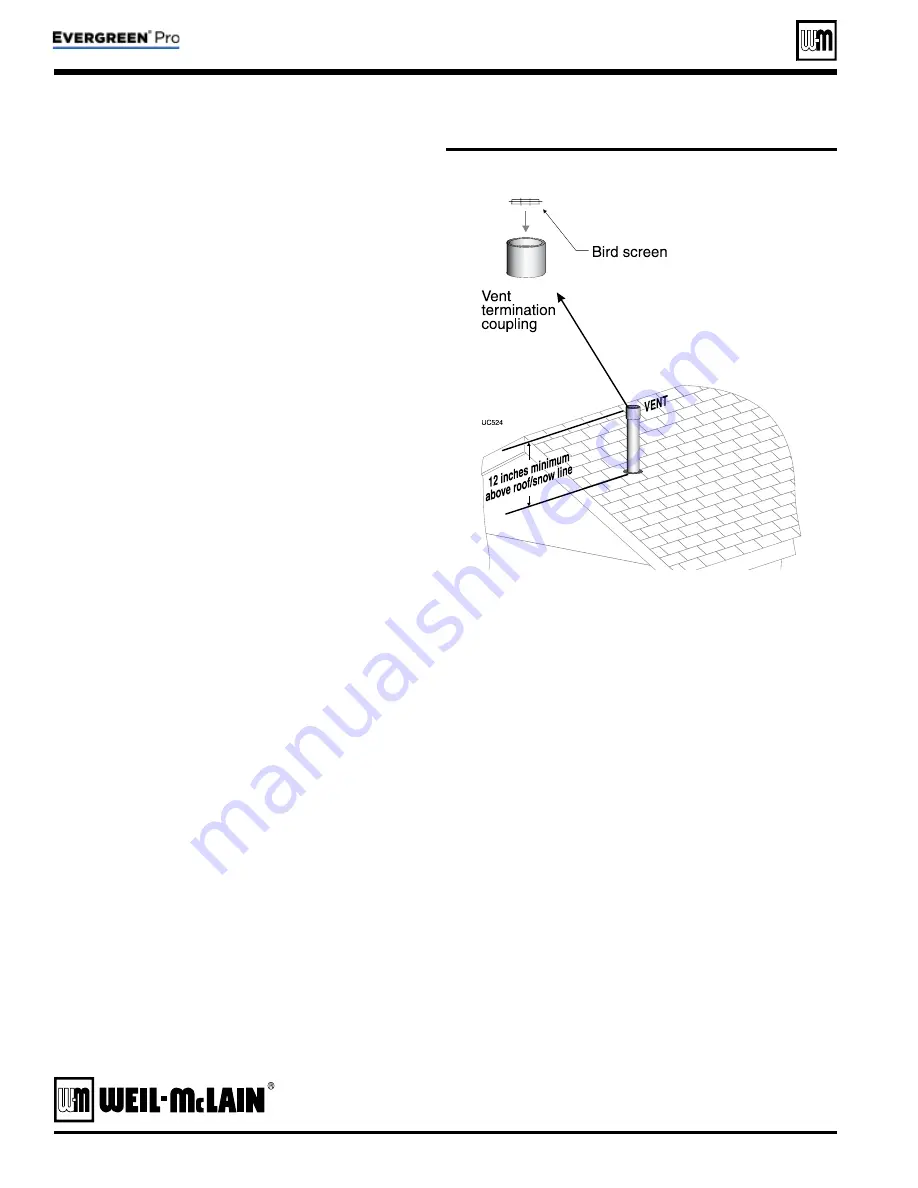 Weil-McLain Evergreen 220 Manual Download Page 8