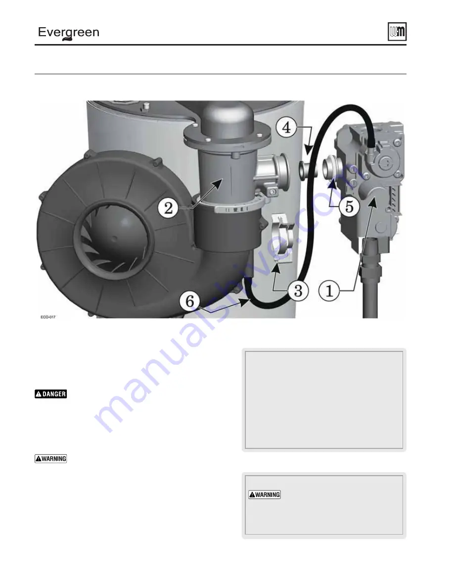 Weil-McLain Evergreen EVG 110 Manual Download Page 16