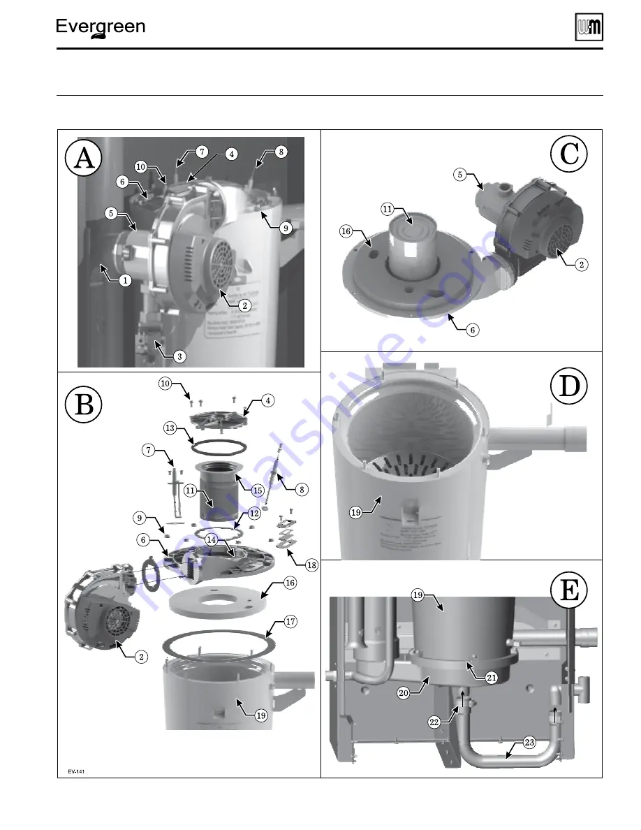 Weil-McLain Evergreen EVG 220 Manual Download Page 115