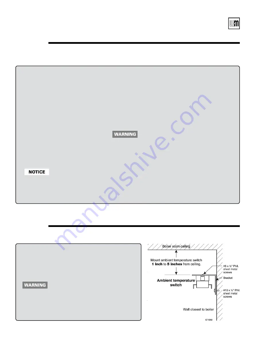 Weil-McLain GOLD CGt SERIES Manual Download Page 6